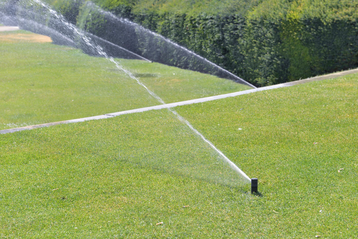 Irrigazione e gestione dei sistemi di irrigazione